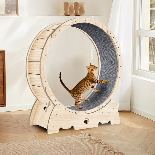 Cat Exercise Wheel for Indoor Cats, Cat Running Wheel with Carpeted Runway 37" Natural Wood Color - Image 3