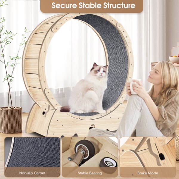 Cat Exercise Wheel for Indoor Cats, Cat Running Wheel with Carpeted Runway 37" Natural Wood Color - Image 5