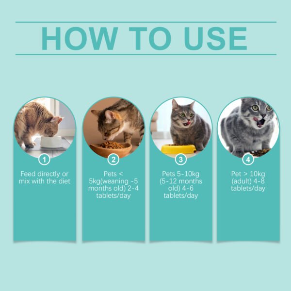 Cat Probiotic Tablets To Improve Intestinal Health, Balance Digestion And Absorption Of Pet Nutritional Supplements - Image 7