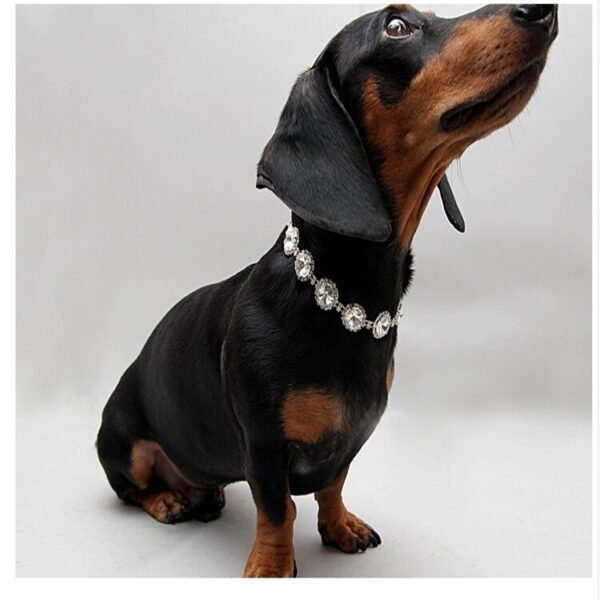 Pet Cat Collar Necklace Dog Collar Pearl Necklace Jewelry Pet Collar Pet Supplies Pet Supplies Dog Collar Gato Puppy Collar - Image 2