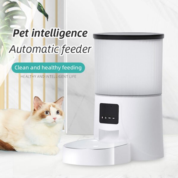 Wifi Smart APP Pet Feeder Household use Microchip Dog Automatic Pet Feeder Automatic Pet Feeder - Image 6