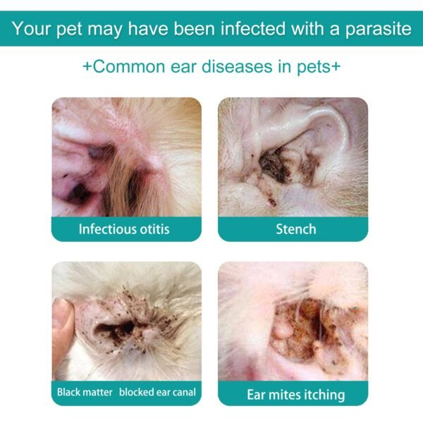 Pet Ear Cleaning Oil for Cats and Dogs - Cleansing, Deodorizing, and Removing Mites from Ears - Image 4