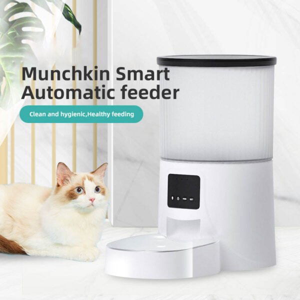 Wifi Smart APP Pet Feeder Household use Microchip Dog Automatic Pet Feeder Automatic Pet Feeder - Image 14