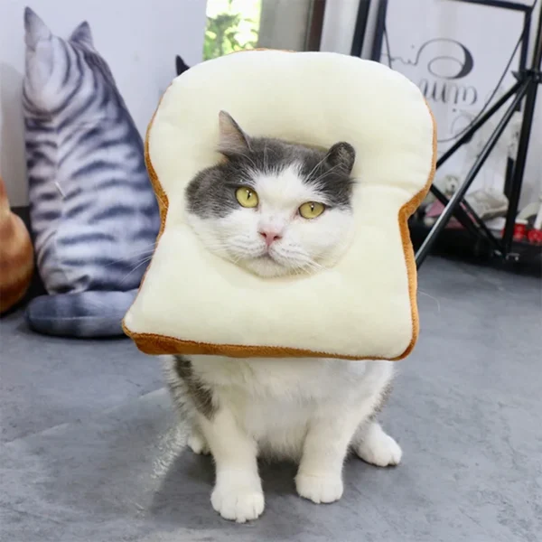Pet Cat Headgear Toast Headgear - Image 2