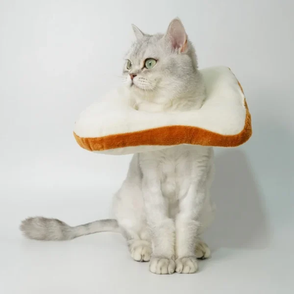 Pet Cat Headgear Toast Headgear - Image 3