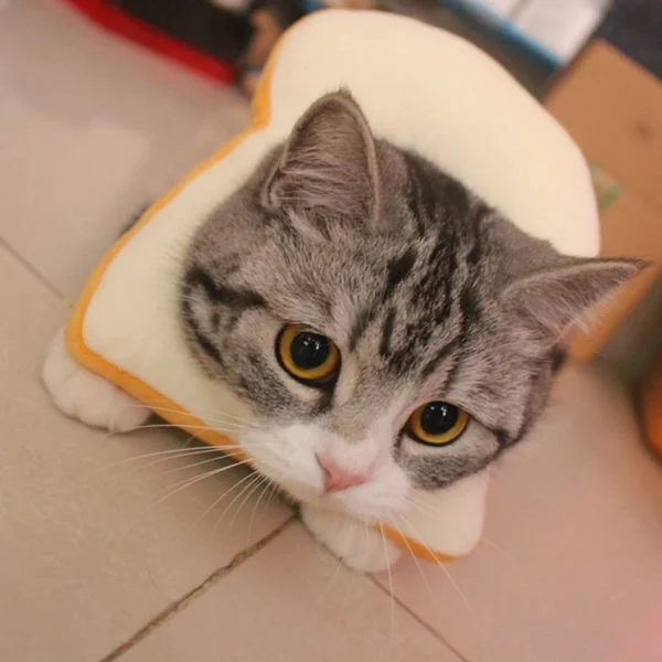Pet Cat Headgear Toast Headgear - Image 4