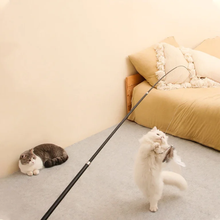 Two cats chasing a long feather wand toy