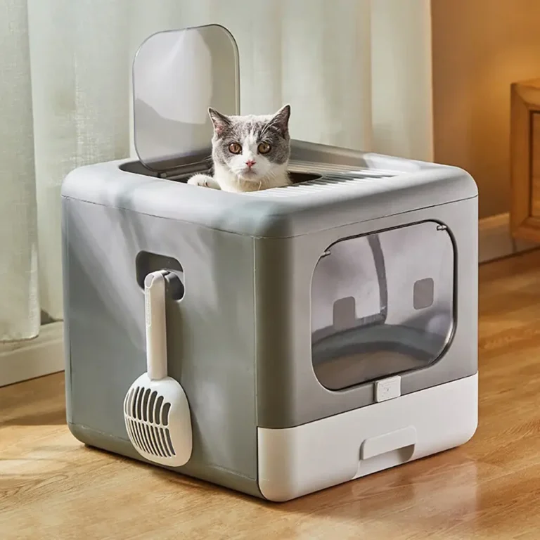 Cat sitting inside a grey enclosed cat litter box