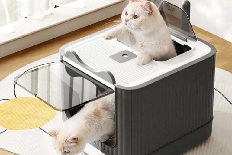 A cream cat climbing out of a clean enclosed litter tray in a bright living room